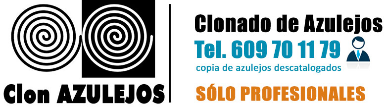 Clonado de Azulejos, solo profesionales Clonado de Azulejos, solo profesionales
